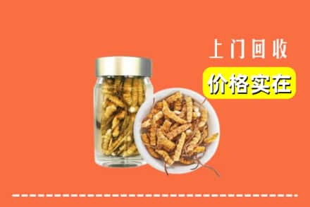 宽城县回收散虫草