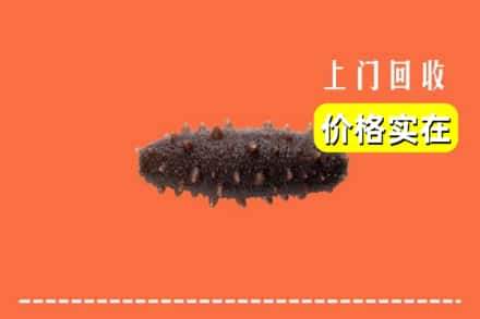宽城县回收海参
