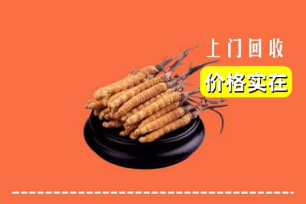宽城县回收冬虫夏草